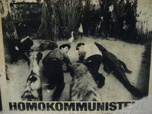 hoko.jpg