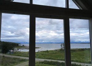 IMG_0545.jpg