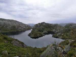 IMG_20170826_135033.jpg