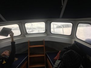 IMG_1273.jpg