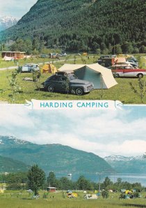 Harding-Camping.jpg
