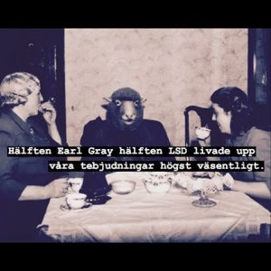 villfarelser teaparty.jpg
