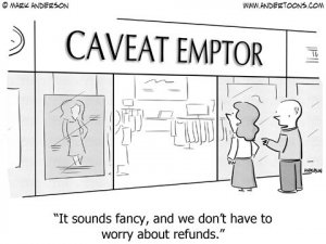 9fc41e7dabfeef7efd549f98113ba346--caveat-emptor-troubadour.jpg