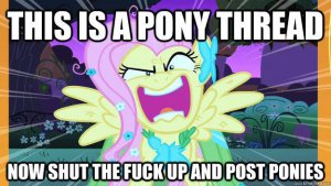 pony.jpg