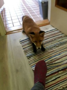 Resized_20170921_124632.jpg