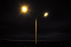 L1020653 (2).JPG