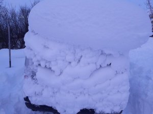 20171125_113649.jpg