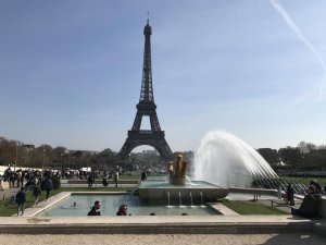 IMG_2937.jpg