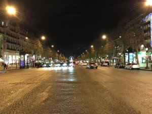 IMG_3110.jpg
