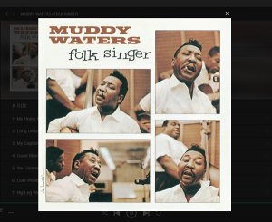 muddy waters folk singer.jpg