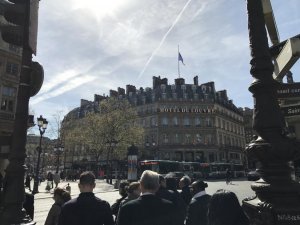 IMG_3147.jpg