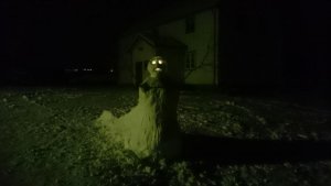 DSC_0872.jpg