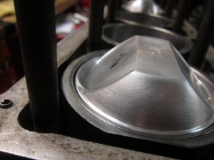 IMG_3955.jpg