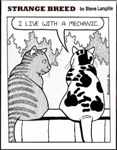 mechanic_cat.gif
