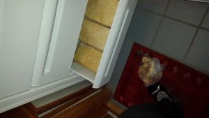 20171217_120309.jpg