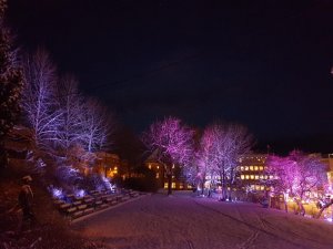 Generalhagen - Harstad - Julestemning.jpg