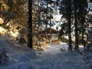 IMG_1528.jpg