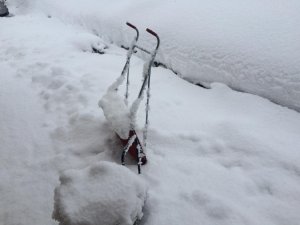 IMG_0264.jpg