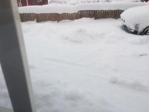 IMG_0266.jpg