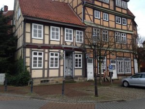 IMG_1464.jpg