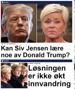 siv og sånn.JPG