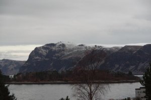 IMGP7285.jpg