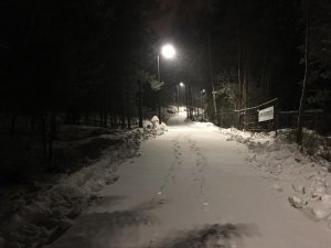 IMG_1596.jpg