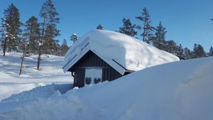 20180217_135319.jpg