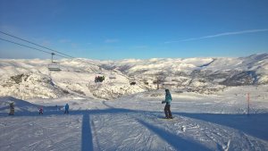 WP_20180217_10_36_22_Pro.jpg