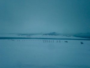 IMG_1639.jpg