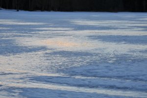 DSC_9825.jpg