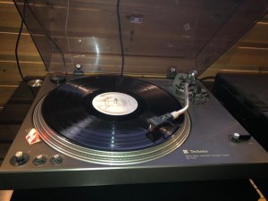IMG_0262.jpg