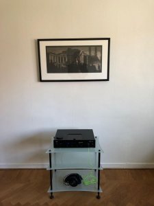 IMG_4523.jpg