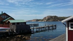 20180510_123447.jpg