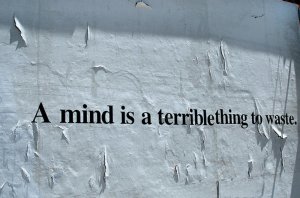 ob_832b78_a-mind-is-a-terrible-thing-to-waste.jpg