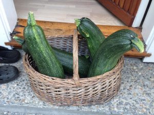 IMG_2444.jpg