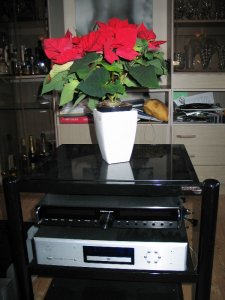 IMG_8111.JPG