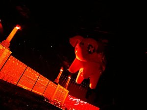 Resized_20180810_220659_7274.jpeg