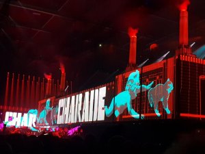 20180815_220201.jpg