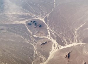 66011C15-D366-4A21-AD99-2D79AD74D604.jpg