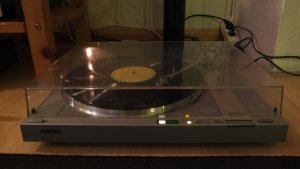 DSCF8614.jpg