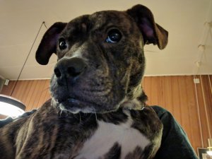 IMG_20181218_205227~2.jpg