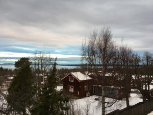 IMG_2785.jpg