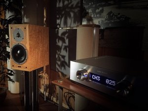 dynaudio sf25 kinki EX-M1.jpg