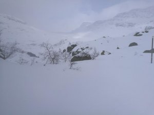 IMG_20190308_113950.jpg