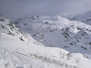 IMG_20190308_115513.jpg