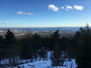 IMG_3088.jpg
