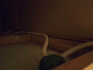 D358B6C7-1736-4829-8CC4-7797400E4453.jpg