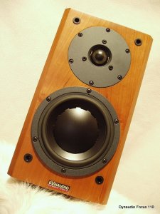 Dynaudio_focus110_1.JPG