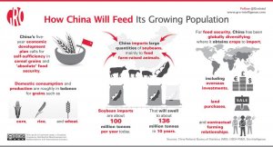 gro_info_300_-_How_China_Will_Feed_Its_Growing_Population_c4fy1x.jpg